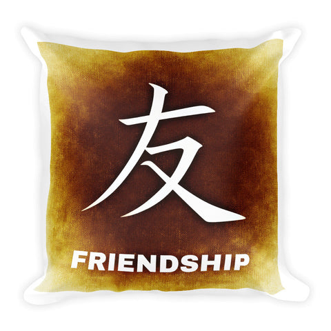 Chinese Friendship Square Pillow (Free shipping)