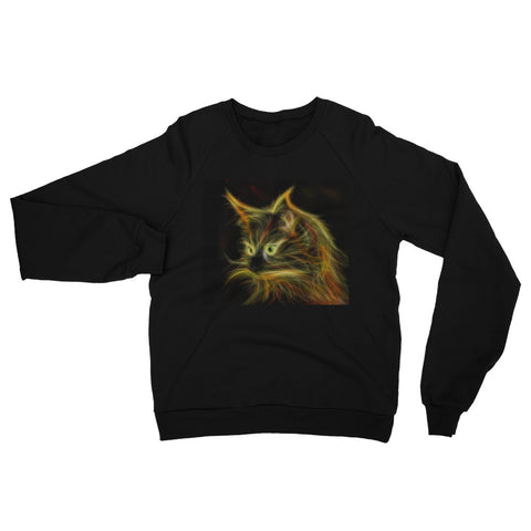 Cat Raglan sweater (Free shipping)